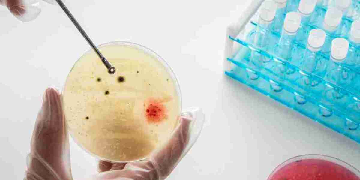 Strategic Market Analysis: Mantle Cell Lymphoma Therapeutic Developments and Investment Opportunities