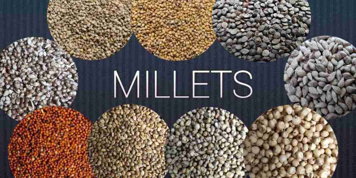 The Resurgence of Ancient Grains: A Global Look at the Millets Market