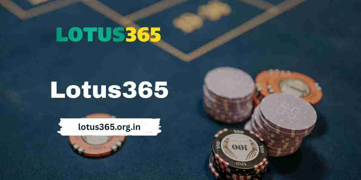 Why Lotus365 Is the Top Choice for 24/7 Sports Action and Updates