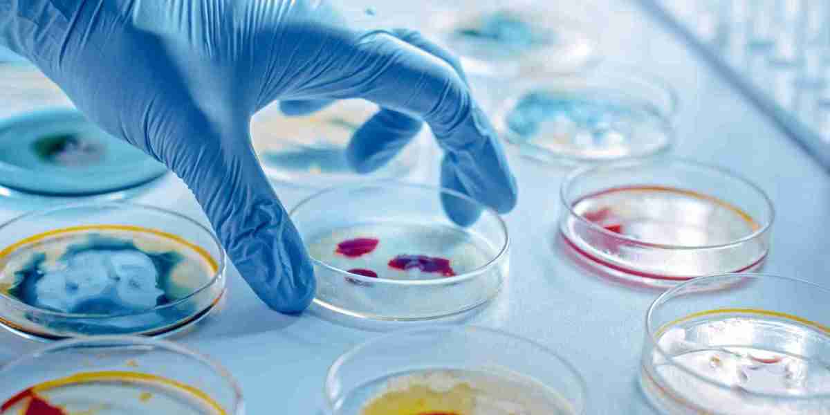 Antimicrobial Coatings Market: A Shield for the Modern World