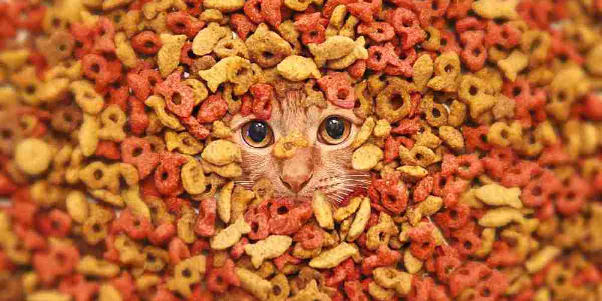 The Purr-fect Market: Decoding the Global Cat Food Industry