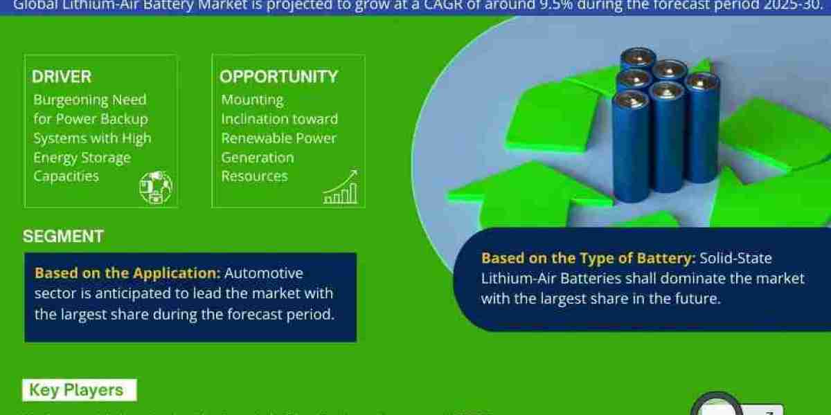 Lithium-Air Battery Market Research 2025–2030: Growth, Size & Opportunities