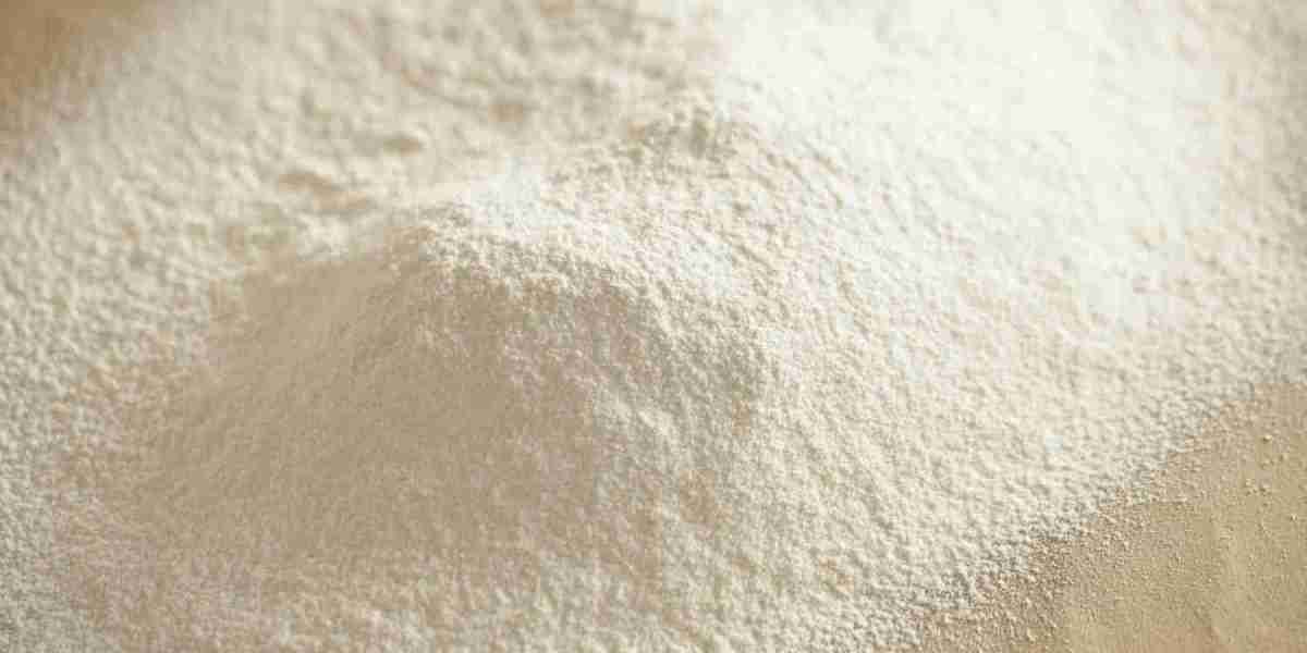 Global Xanthan Gum Market Size, Share, Forecast 2022 – 2032