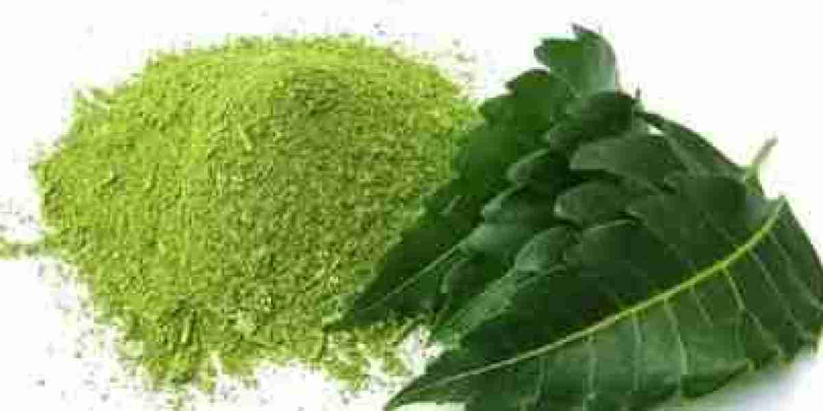 Neem Powder Manufacturing Plant Cost 2025: Industry Trends and Business Opportunities