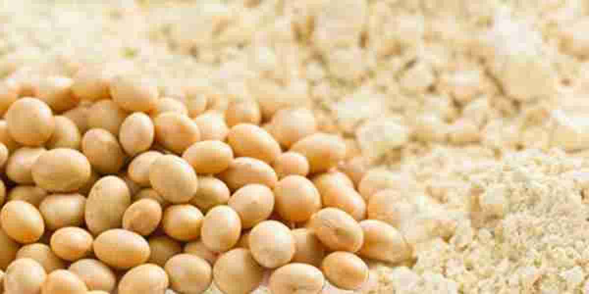 The Green Protein Powerhouse: A Global Deep Dive into the Soy Protein Ingredients Market