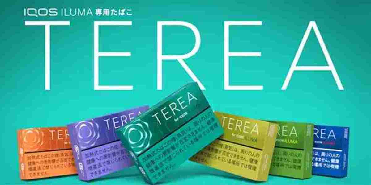 IQOS主機差別全攻略：選購指南與使用心得