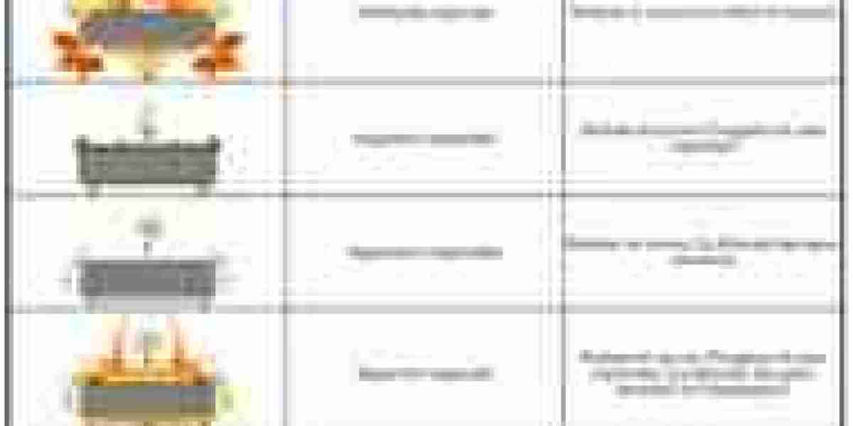 Dofus ornements : Guide et astuces pour les obtenir