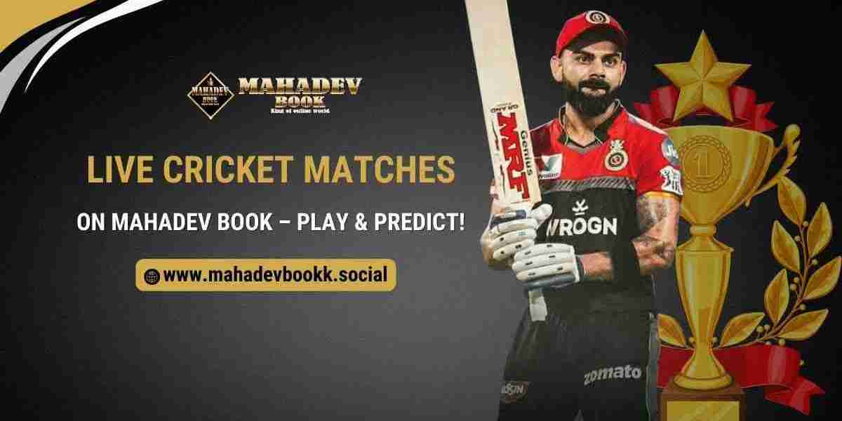 Live Cricket Matches on Mahadev Book – Play & Predict