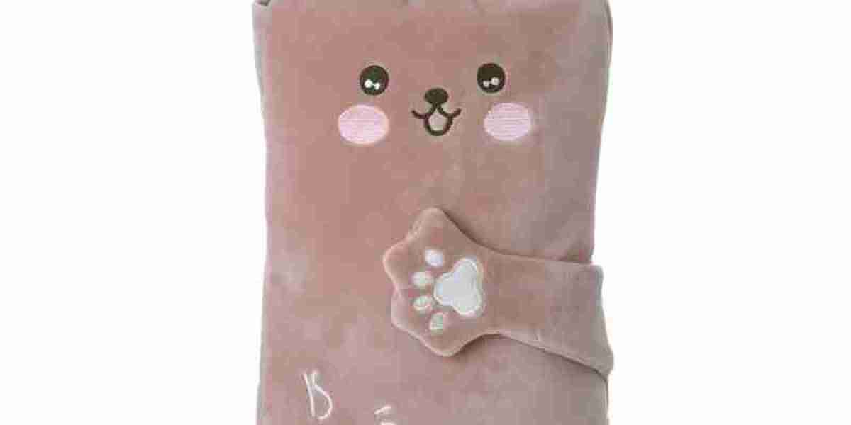 The Functional Design and Operation of an Electric Hot Water Bag