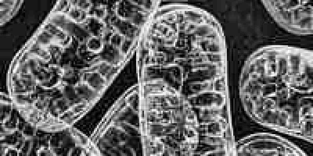 Support Your Body: Longevity and Perimenopause Supplements