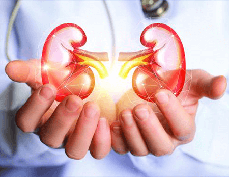 DNA Test for Kidney Transplant | DNA Forensics Laboratory