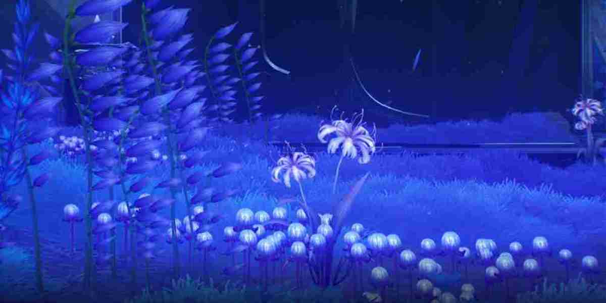 Afterlife Zones in WuWa – Key Locations & Farming Tips