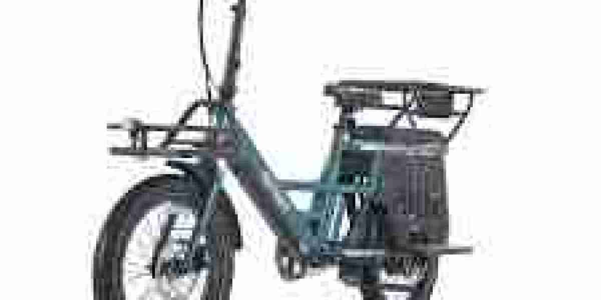 E Bikes Canada The Growing Trend of Sustainable Transportation