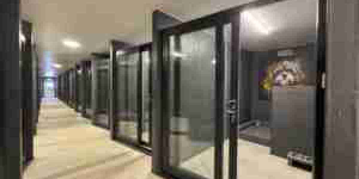 Halo Dogs: Luxury Dog Hotel in London | Kennels You Can Trust
