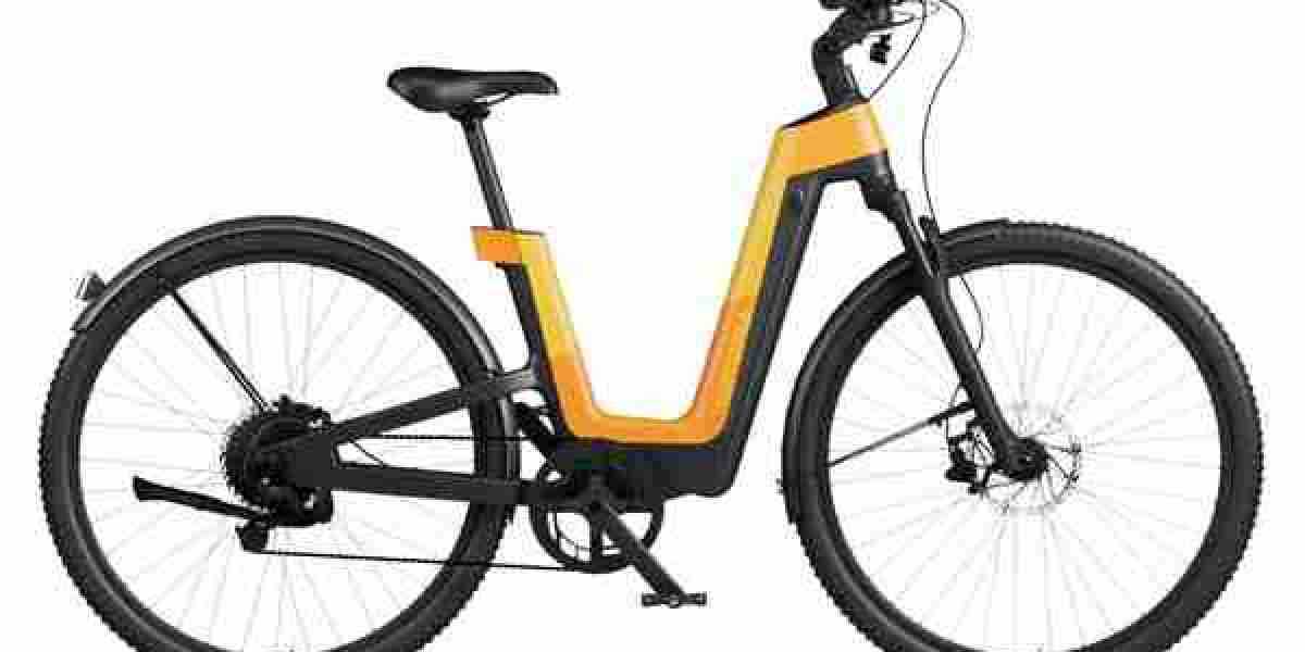 Why Are E-Bikes Becoming the Future of Modern Transportation?
