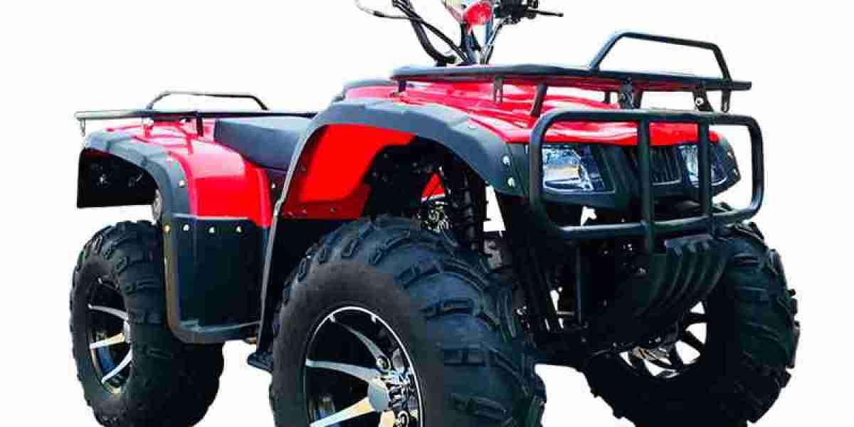 The Functional Design and Recreational Role of an Adult Beach Car