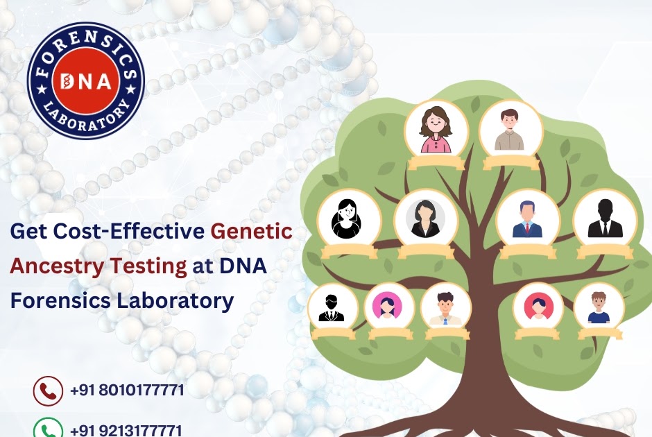 Unlocking the Past: A Complete Guide to Ancestry DNA Testing