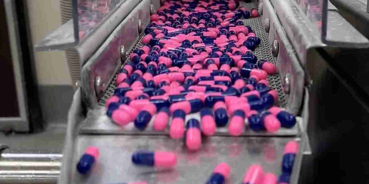 Penicillin Manufacturing Plant Report 2025: Unit Setup, Raw Materials, and Investment Opportunities