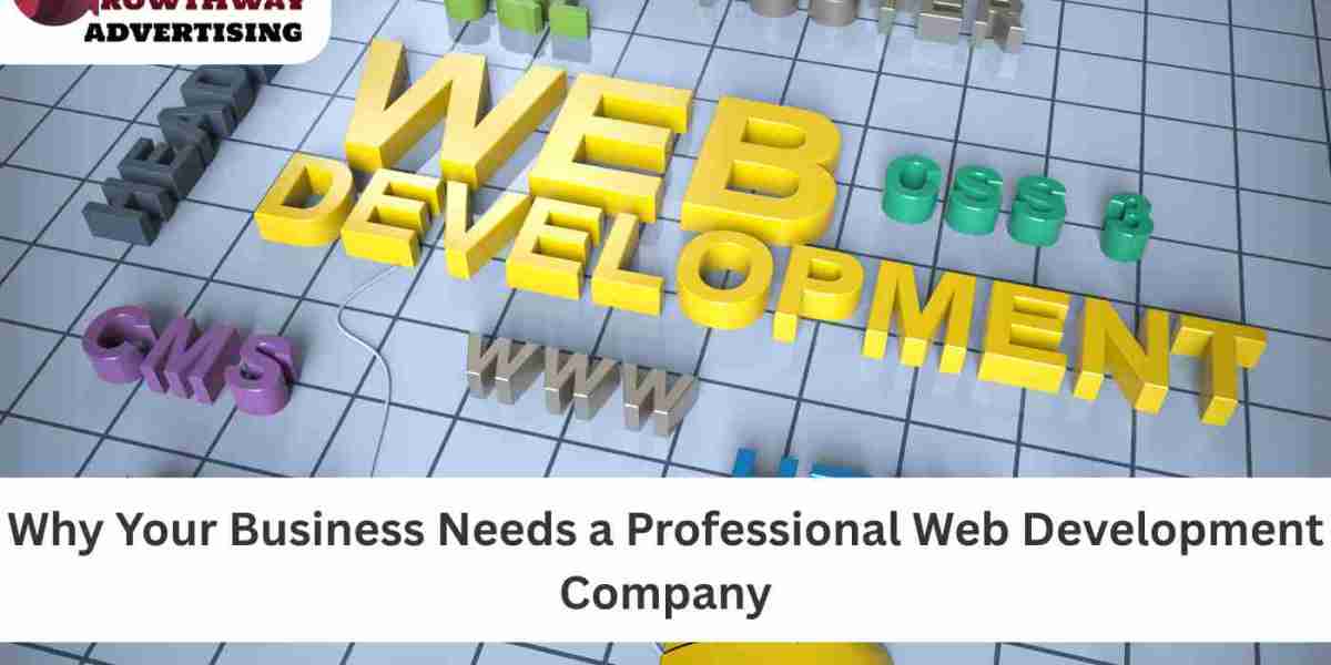 Why Your Business Needs a Professional Web Development Company