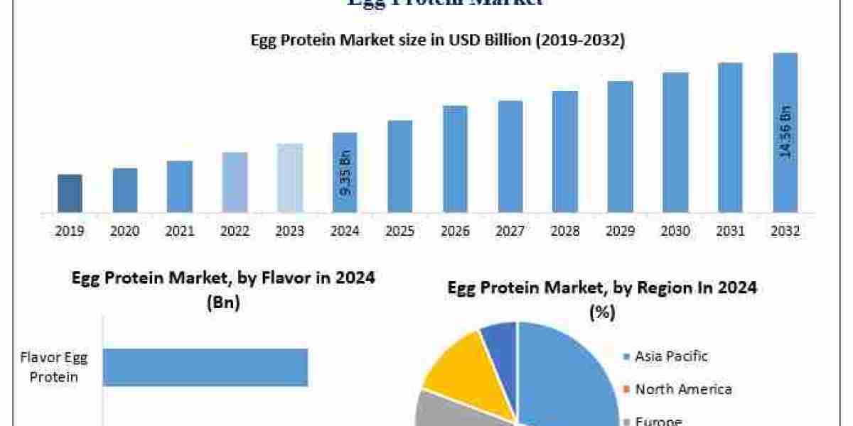 Egg Protein Market demand expected to rise steadily with CAGR of 5.7% through 2032