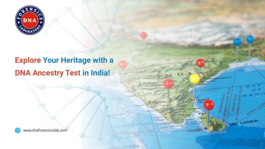 Discover Your Roots with a DNA Ancestry Test Kit | daddycow.com