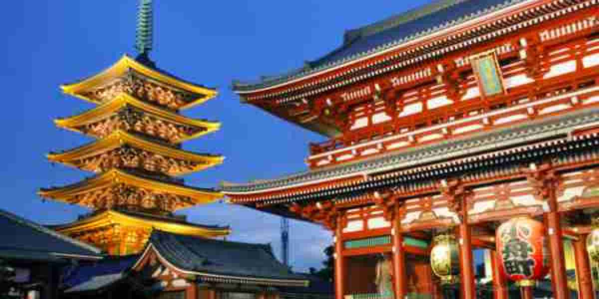 Tokyo Grand Tours: Personalized Tours of Tokyo & Mount Fuji