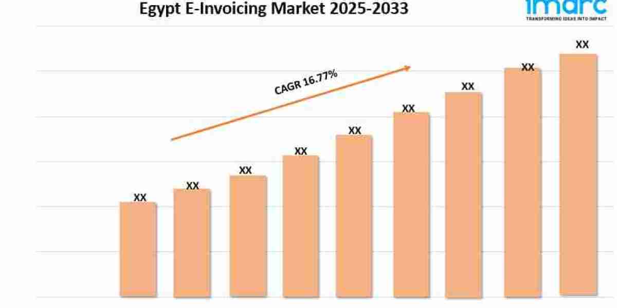 Egypt E-Invoicing Market Share, Growth, and Trends Report 2025-2033