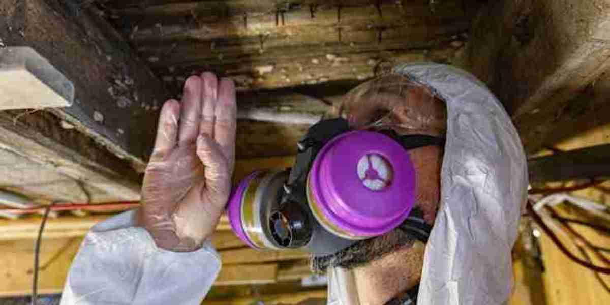 How AES Ensures Accurate ACP5/ACP7 Reporting Through Expert Testing