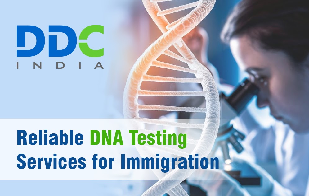 DNA Test for New Zealand Immigration – A Complete Guide