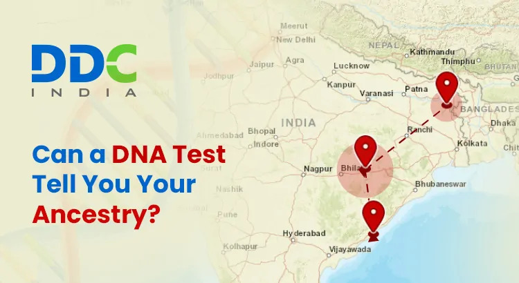 Finding the Best Lab for Genetic Ancestry Testing - AtoAllinks