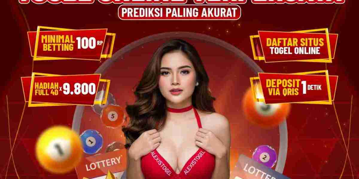 Panduan Pemula Bermain di Alexistogel