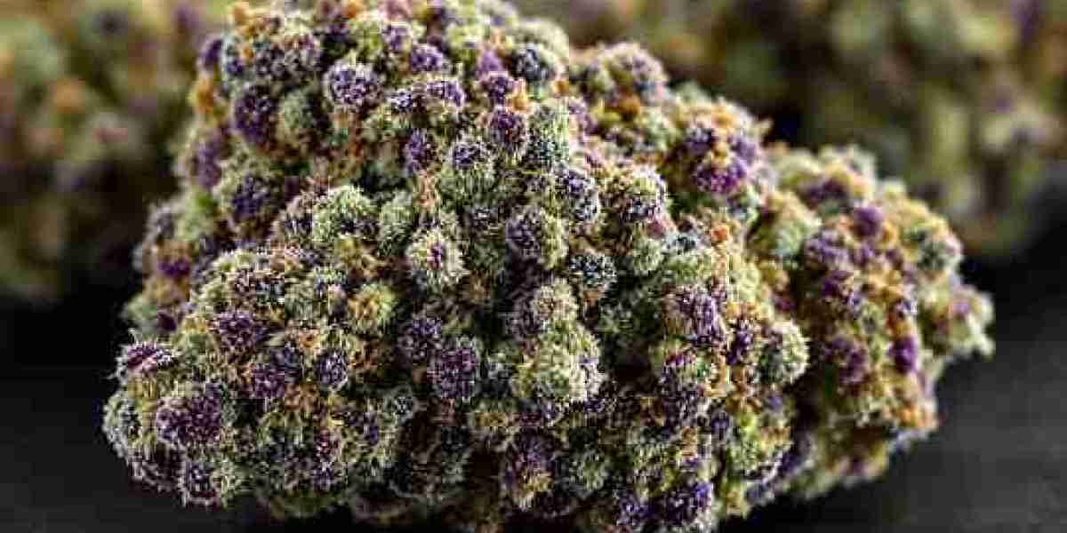 Elevate Your Routine with Hemp Skincare Products