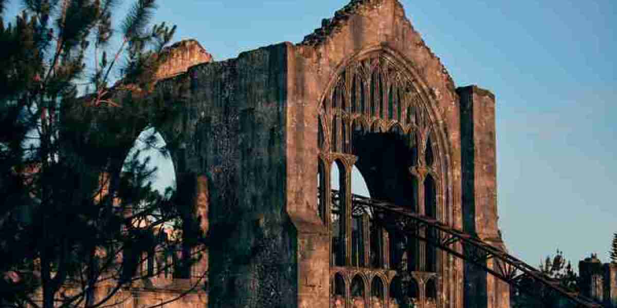 Hagrid’s Magical Creatures Coaster – New at Universal Orlando