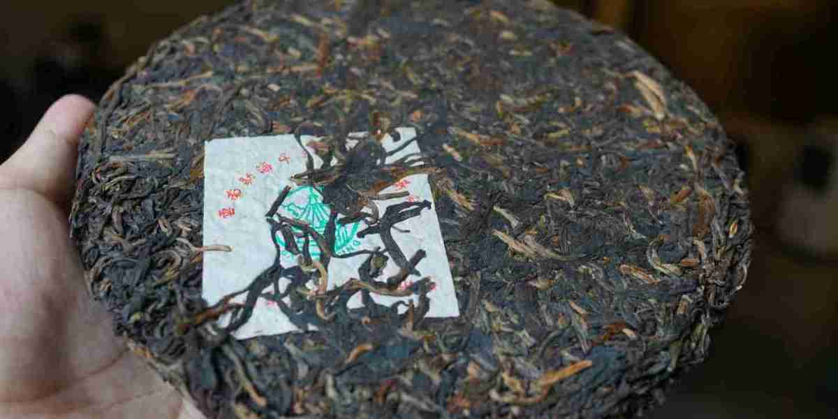 Songti Raw Tea Guide: How to Brew and Savor Its Freshness