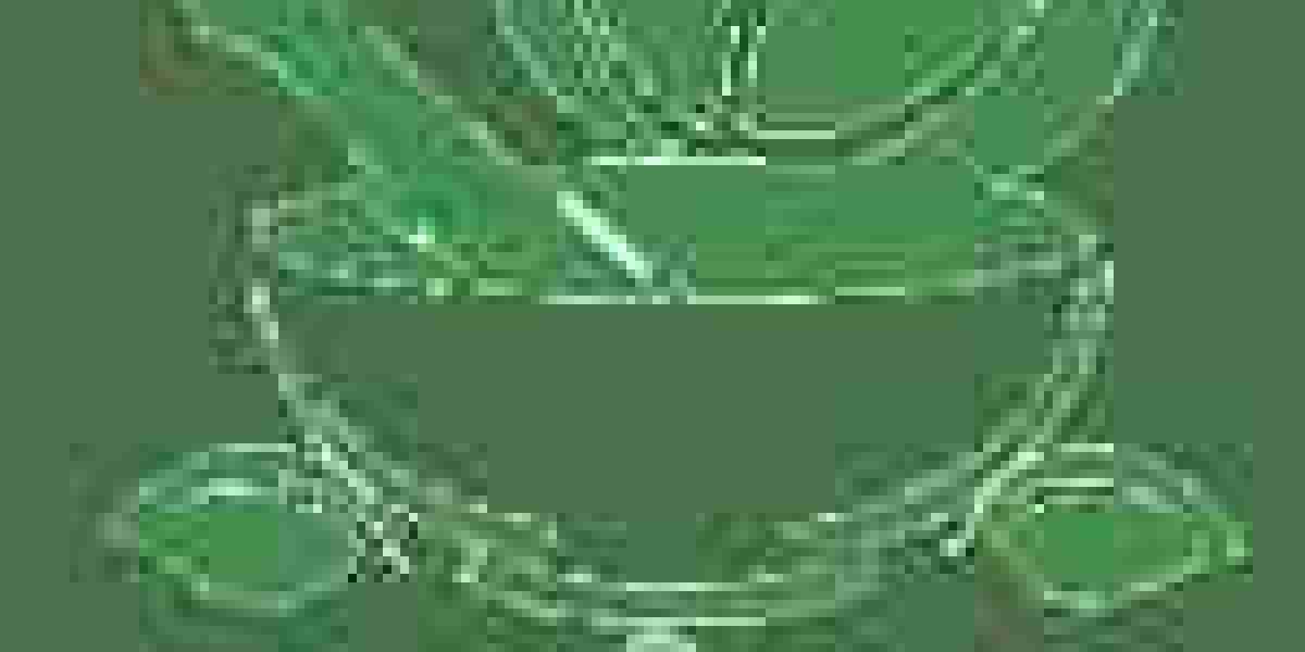 Healing from Within: Gut Health and Chronic Pain Connection Explained