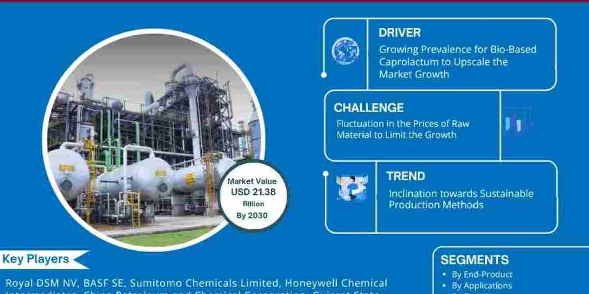 Caprolactam Market Forecast: USD 21.38 billion Valuation by 2030