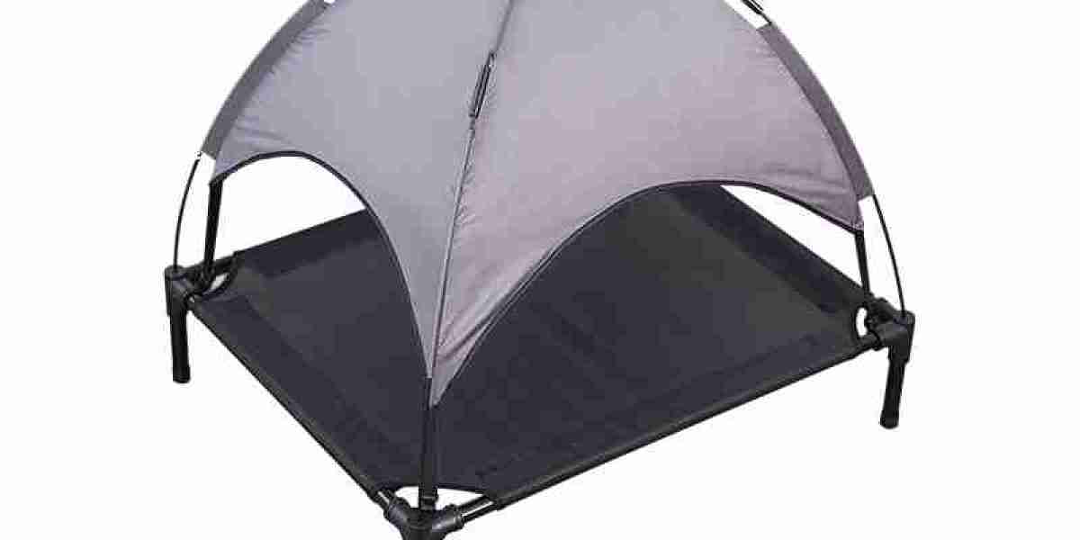 Why Choose an Elevated Pet Bed With Canopy for Your Pet