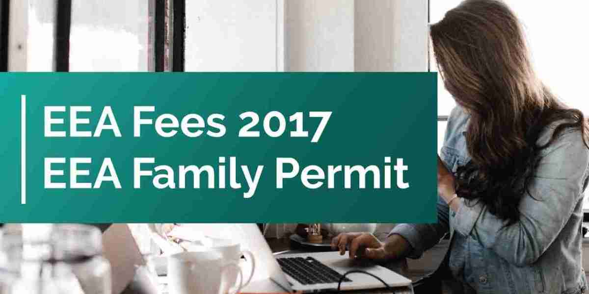 Post-Brexit Pathways: A Diagnostic Guide for Families of EU Nationals in the UK