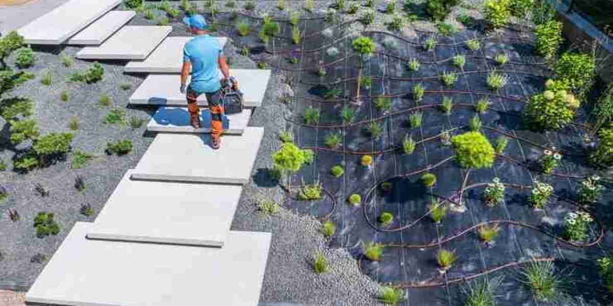 Water Wise Landscaping: Xeriscape for Every Home