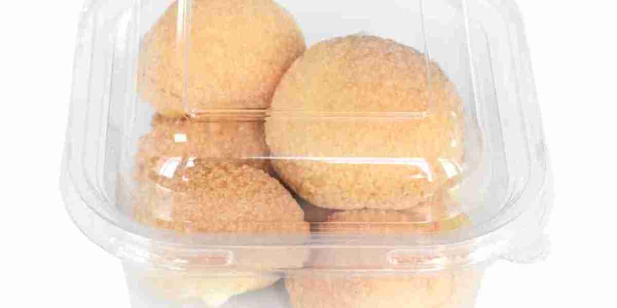 The Engineering Behind a Reliable Hinged Plastic Container