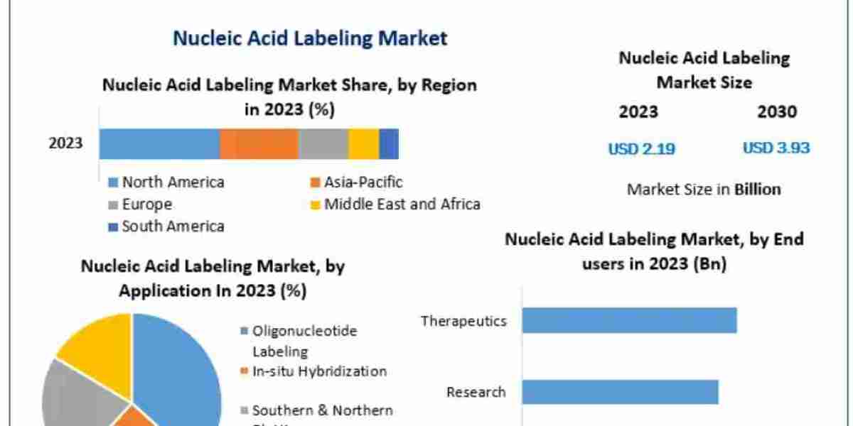 Nucleic Acid Labeling Market Insights: Regional Trends and Competitive Landscape