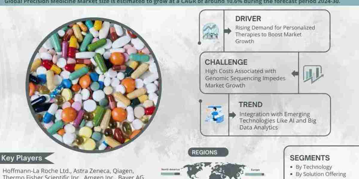Precision Medicine Market Size, Insights, Growth Rate, Trends Analysis And Forecast To 2030