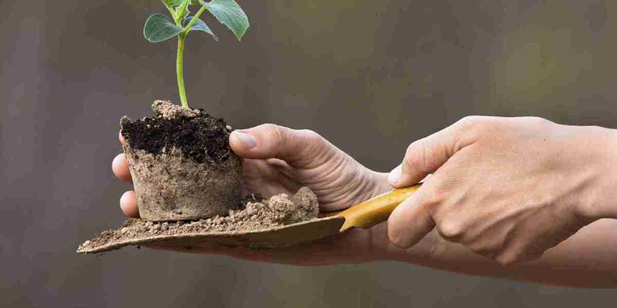 How to Choose the Best Organic Soil for Healthy Plant Growth