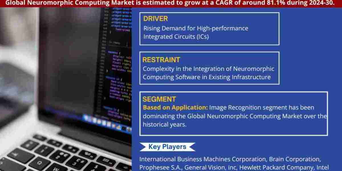 Neuromorphic Computing Market Analysis and Growth Forecast by 2030