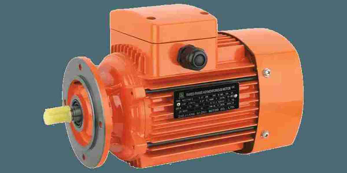 Variants and Construction Details of Three Phase Motors