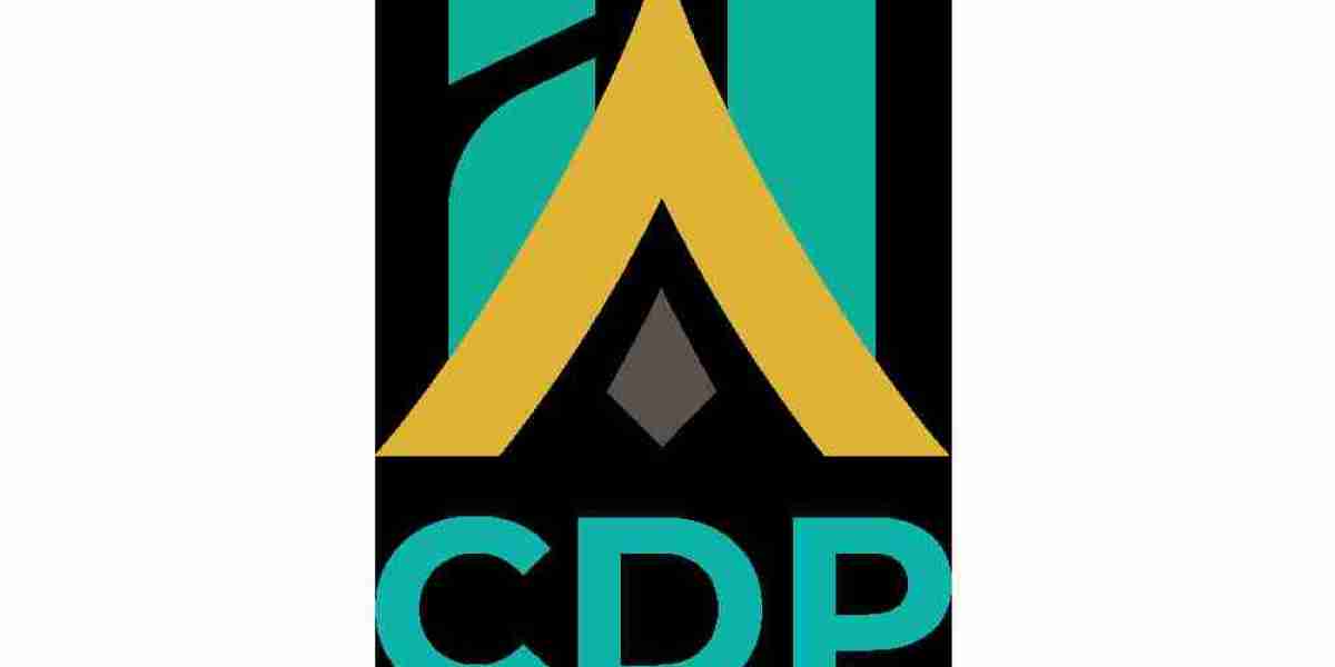 Understanding Verlorin: A Look at User Experiences and Online Transparency