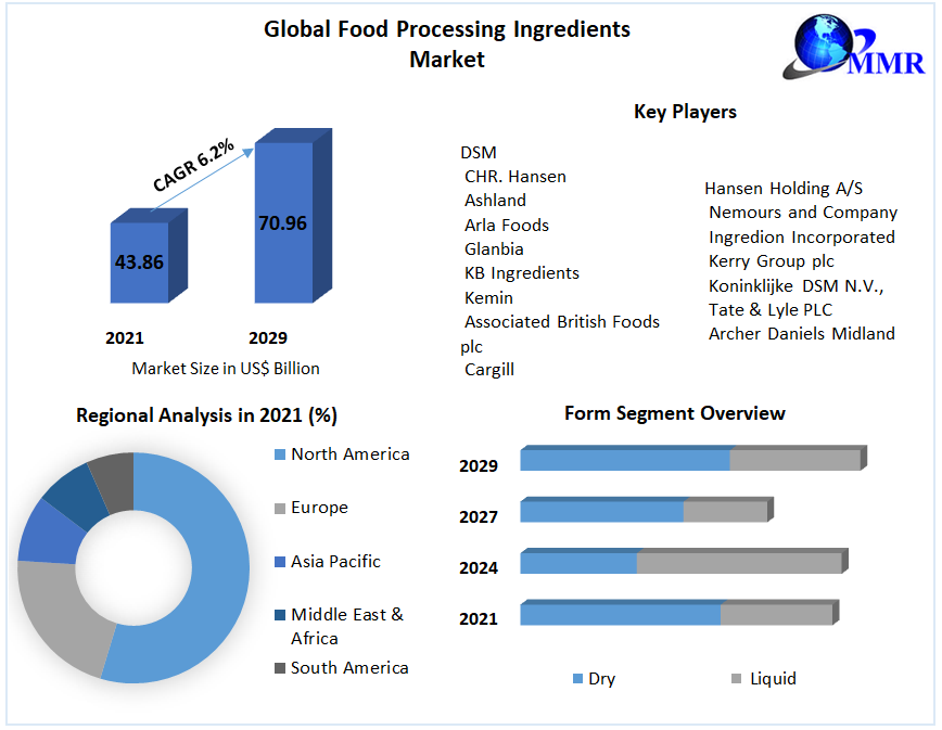 Food Processing Ingredients Market - Global Industry Analysis 2029