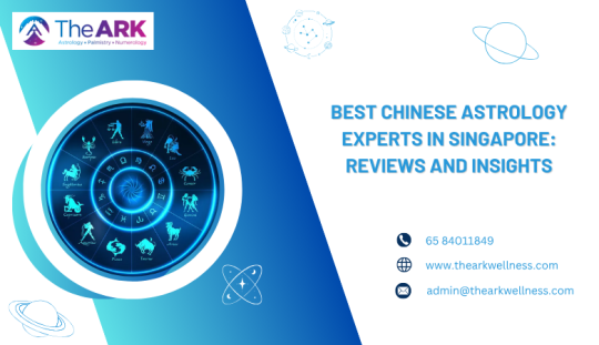 The Ark Wellness — Best Chinese Astrology Experts in Singapore: Reviews and Insights