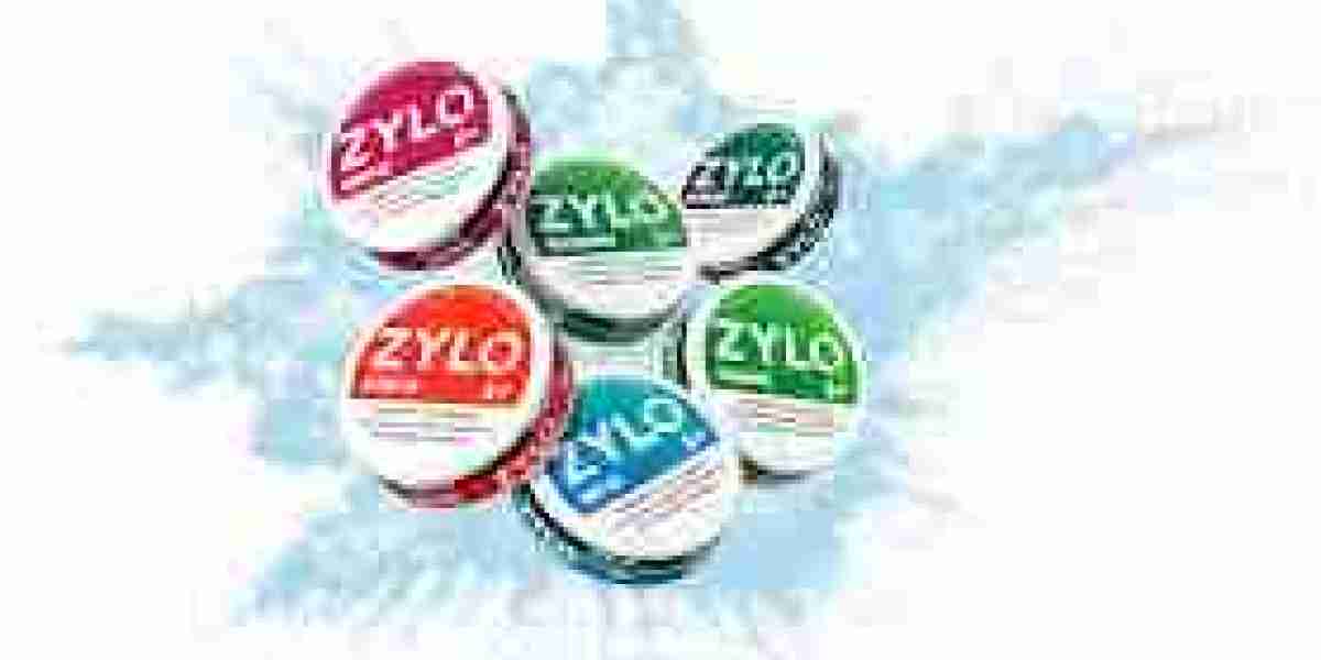 Stock Up for Success: Getting the Best with the ZYLO Mixed Special Bundle 30 Cans