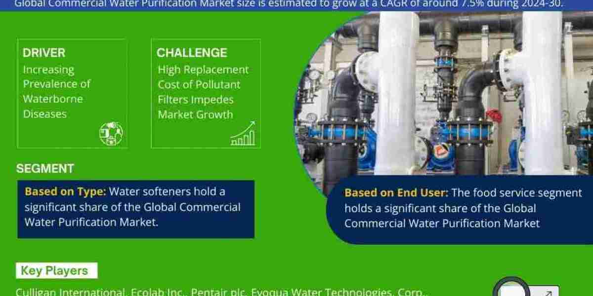 Commercial Water Purification Market Analysis and Growth Forecast by 2030